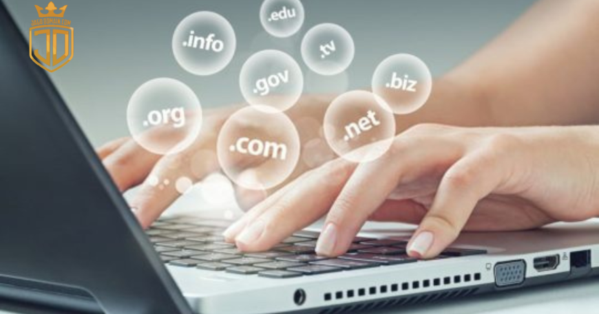 Aged Domain dan New Domain: Mana yang Lebih Baik untuk Bisnis Online?
