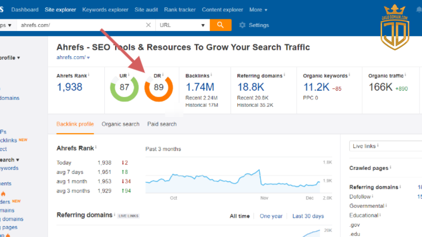 Aged Domain dan Faktor Kecepatan Ranking Aged Domain dan Faktor Kecepatan Ranking